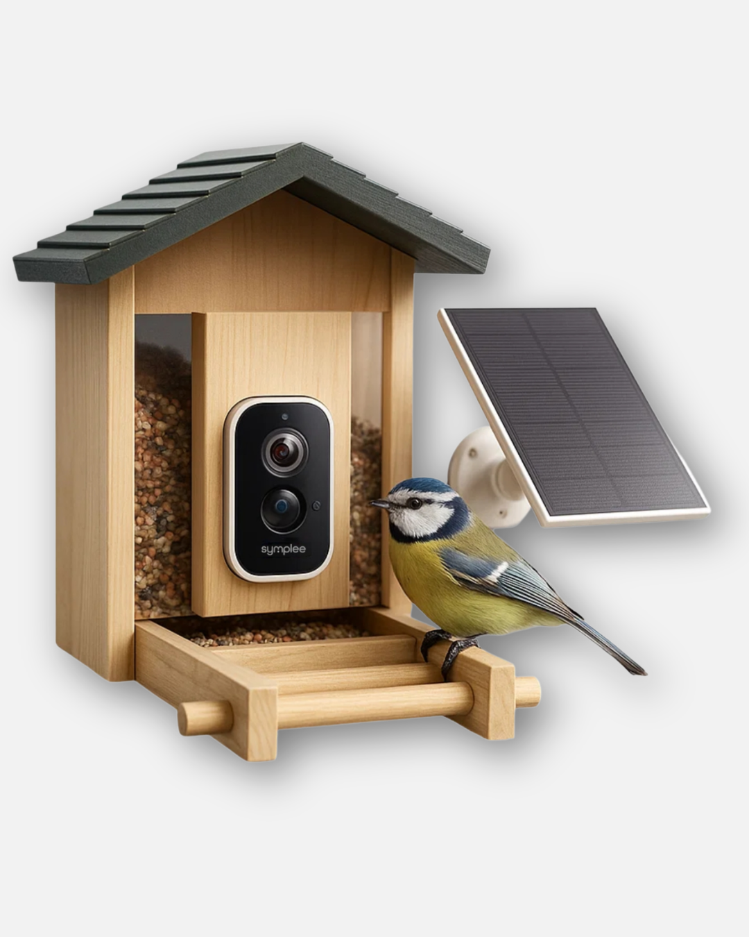 SYMPLEE Q45A chytré krmítko pro ptáky s kamerou