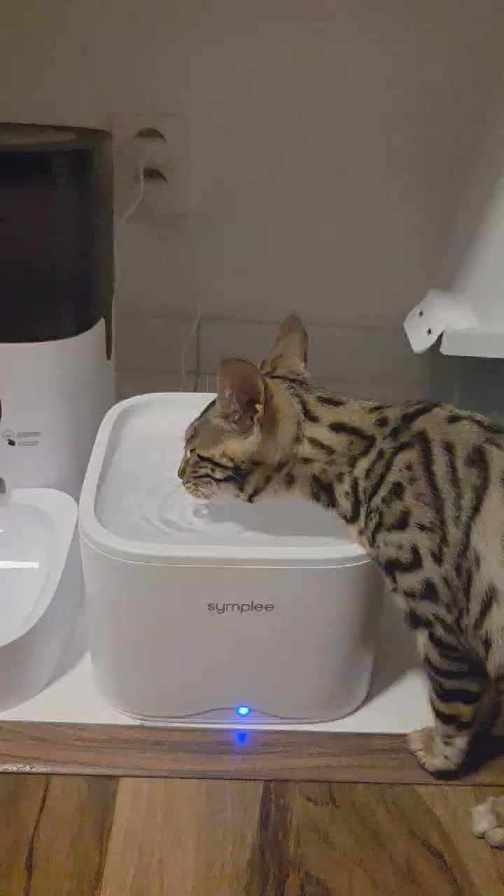 Načíst video: {&quot;default&quot; =&gt; nil}