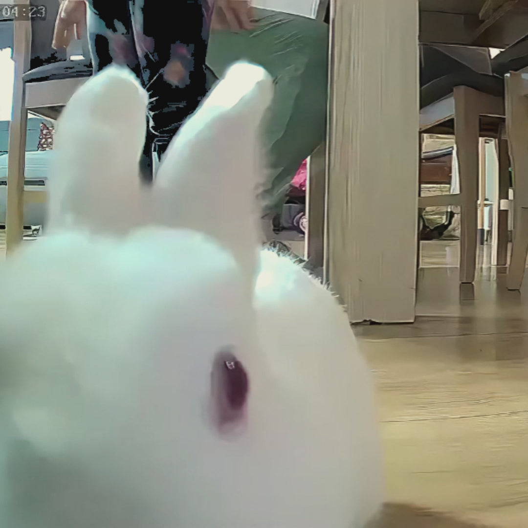 Načíst video: {&quot;default&quot; =&gt; nil}