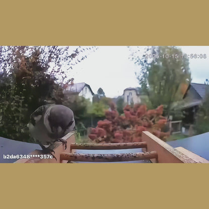 SYMPLEE Q45A chytré krmítko pro ptáky s kamerou